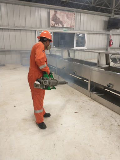 Fumigaciones Servicios Integrales Mexico - Thumbnail