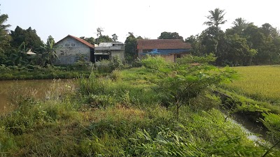 Photos of Ruang terbuka hijau