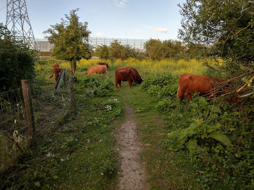 Northern Ijpolder - Thumbnail