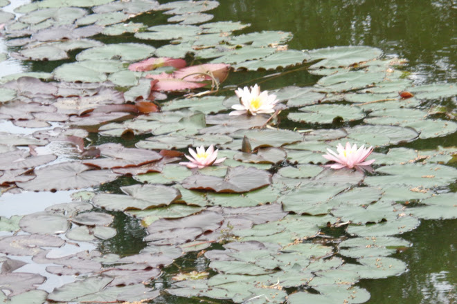 Visit Wasserpark Am Iberg On Your Trip To Oerlinghausen Or Germany