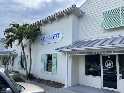 FCA FIT - Visual