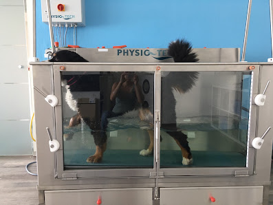 FIT4LEGS Tierphysiotherapie Lippstadt Jana Martin - Lippstadt