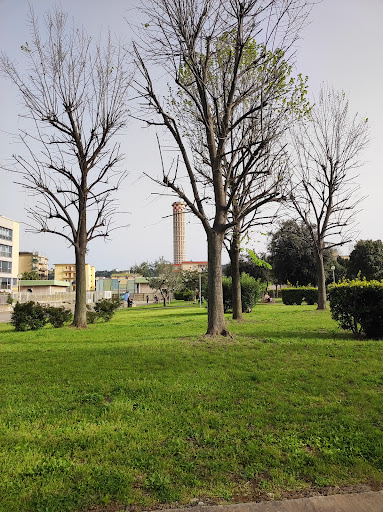 Parco dei Fiori - Thumbnail