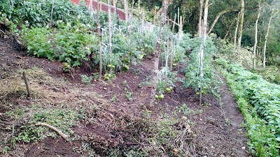 Photos of Cerro el tablazo