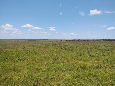 Alachua Savannah Visitor Center & Tower