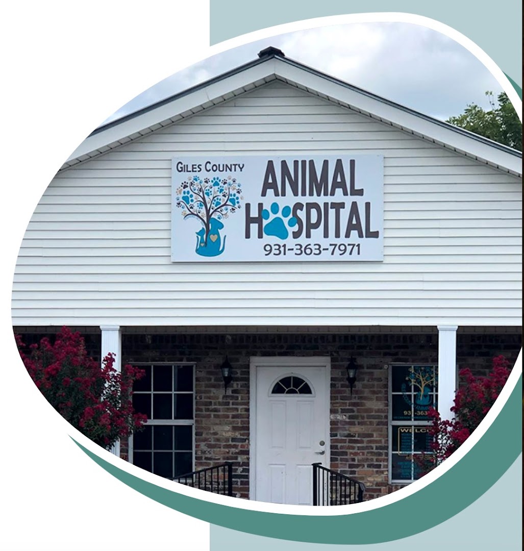 Giles County Animal Hospital
