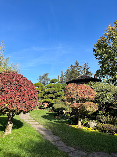 Japanischer Garten im Blühenden Barock - Thumbnail
