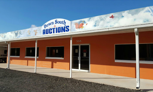 Down South Auctions - Visual