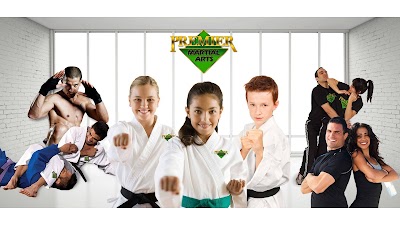 Premier Martial Arts Asheville, NC