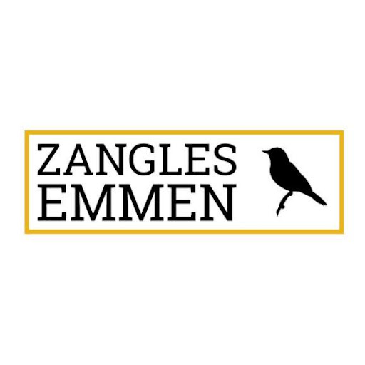 Zangles Emmen - Visual