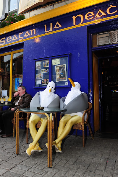 Tigh Neachtain — photo
