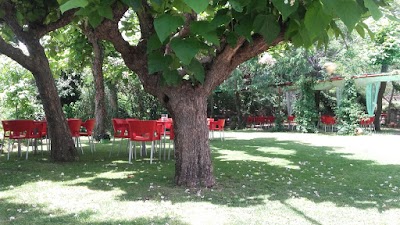 Photos of Restaurante Las Solanas