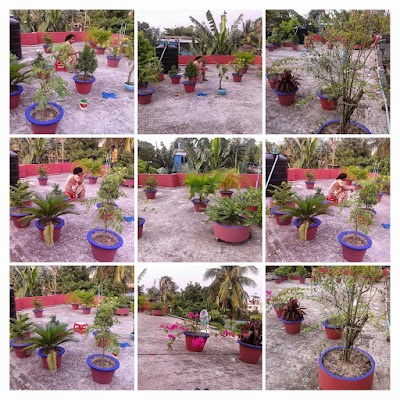 Photos of Nasrin Plaza