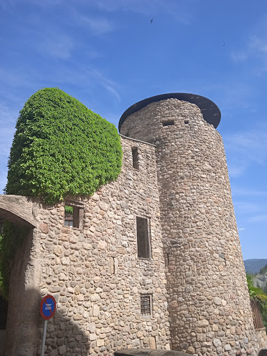 Palau dels Pinós - Thumbnail