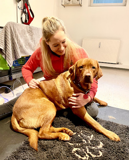 Tierphysiotherapie Pia Heinloth - Thumbnail