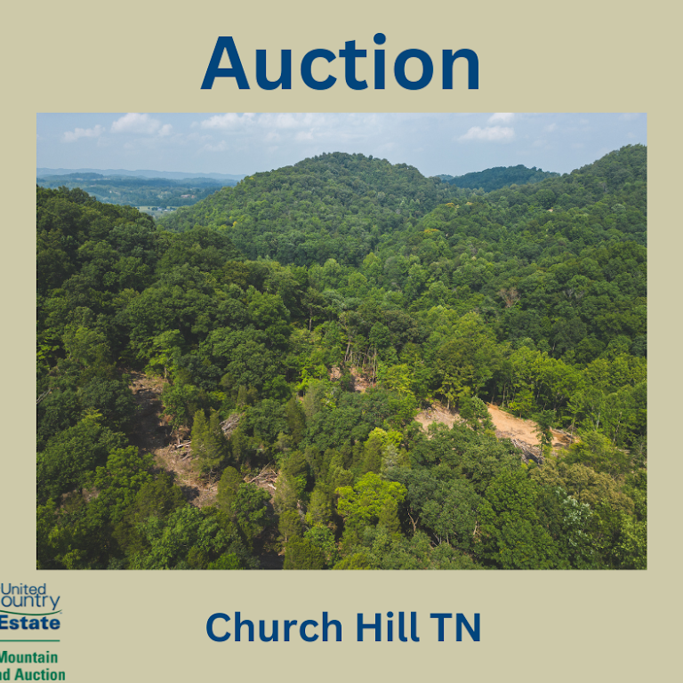 261 ACRES UNRESTRICTED BLISS ON THE CLINCH RIVER AUCTION TN