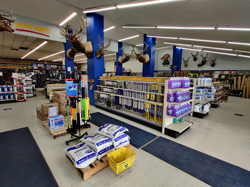 NAPA Auto Parts - C & B Auto Parts - Thumbnail