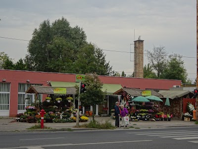 Photos of Megyeri Temető