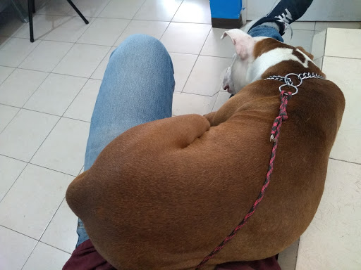 Veterinaria Ha-Del