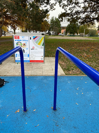 Calisthenics Park Schwenningen - Thumbnail