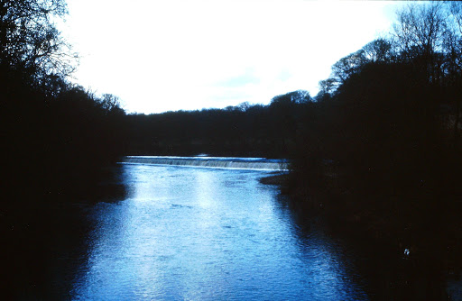 Bridge Road - Visual