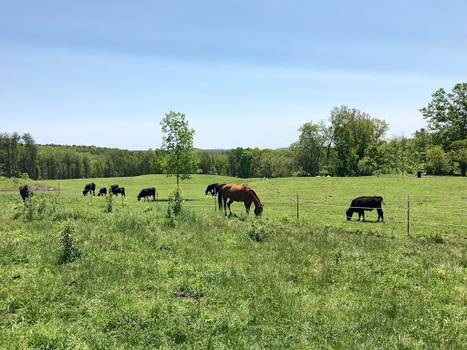 Half A Penny Farm LLC - Thumbnail