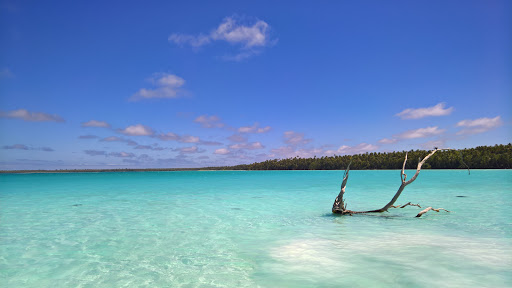 Luxury Travel Works - Thumbnail