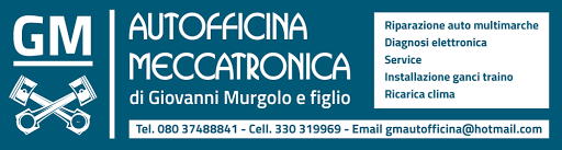 GM - Autofficina Meccatronica di Giovanni Murgolo e figlio - Thumbnail