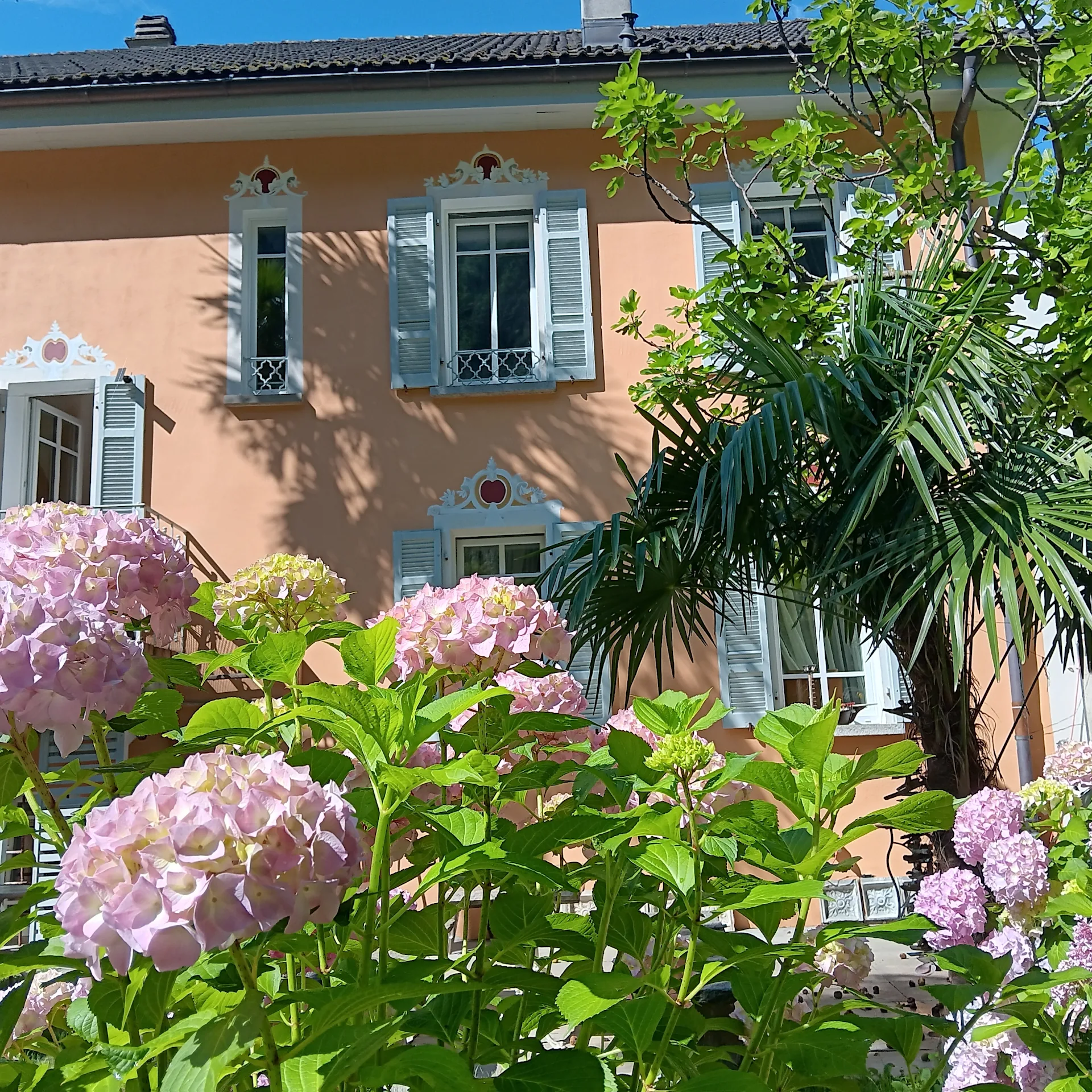 CASA BELGERI