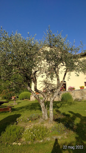 San Pancrazio - Visual
