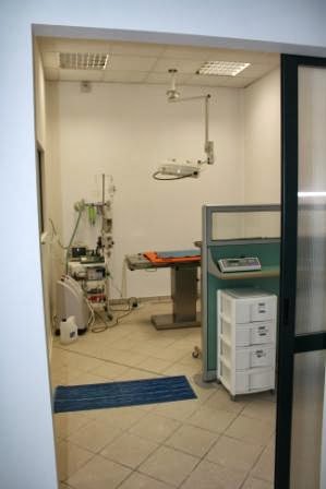 Centro Neurologico Veterinario