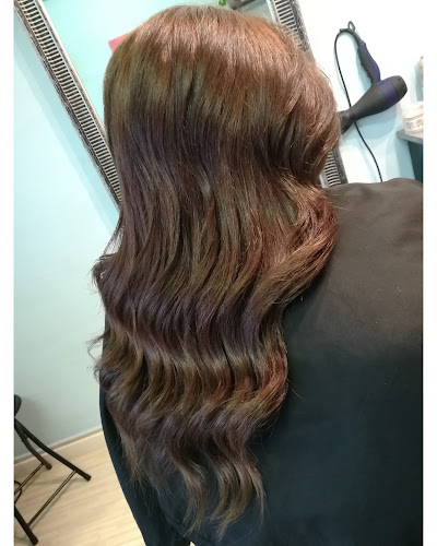 Šaldin - Hair Purity Shop S&I - Brijačnica