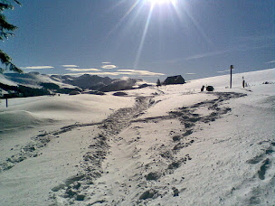 Photo n°27 de Ecolieu Ferme du Guery à Mont-Dore (Ferme bio)