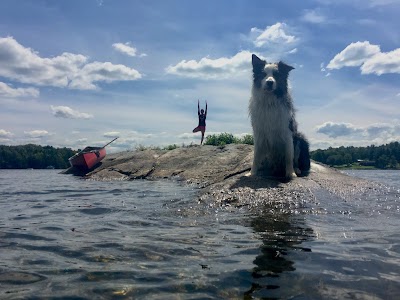 Burlington Yoga