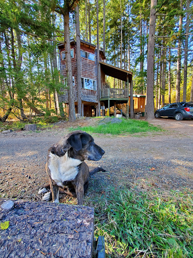 Lothlorienwoods Vacation Rentals -- Abodes of Middle Earth - Thumbnail