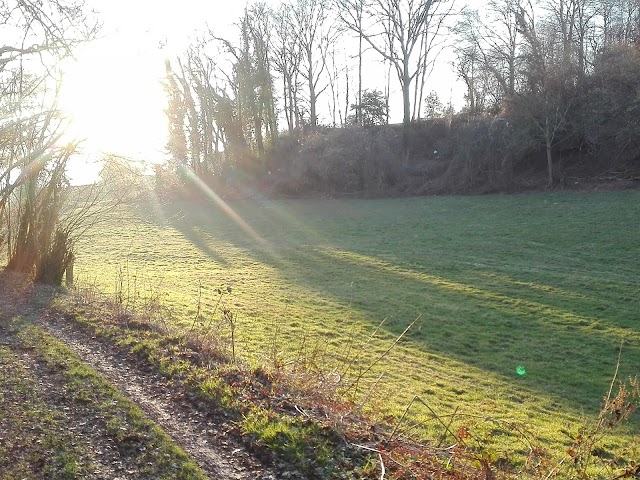 Notre-Dame-de-Gravenchon