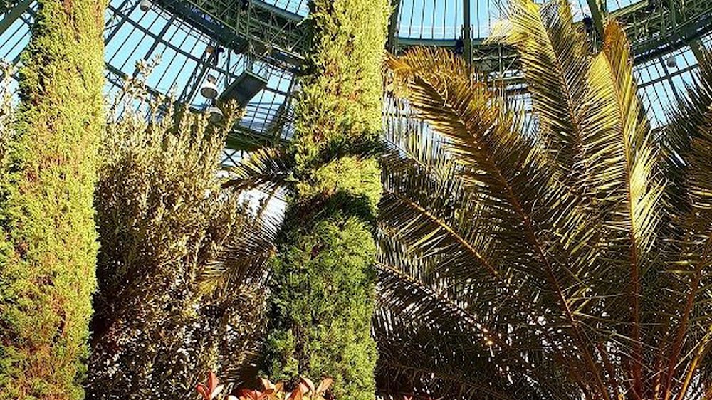 Paris Jardin
