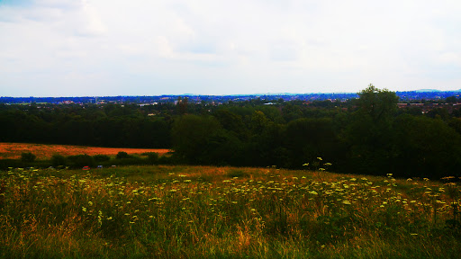 Three Horseshoes Donnington - Thumbnail