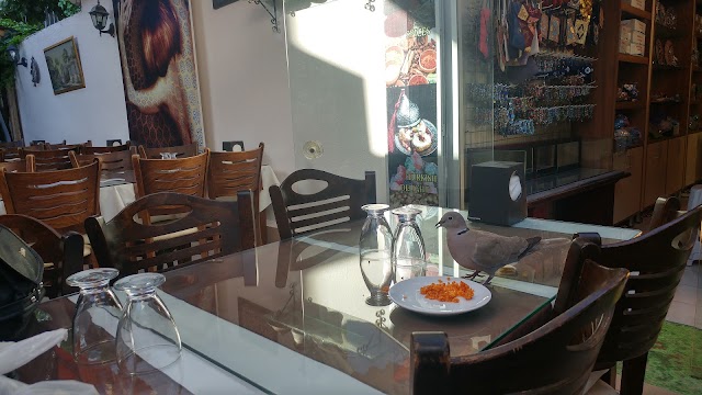 Oz Urfa