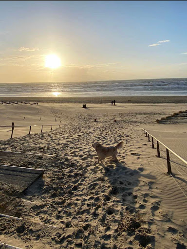 Egmond aan Zee, Boulevard Ir.de Vassy - Thumbnail