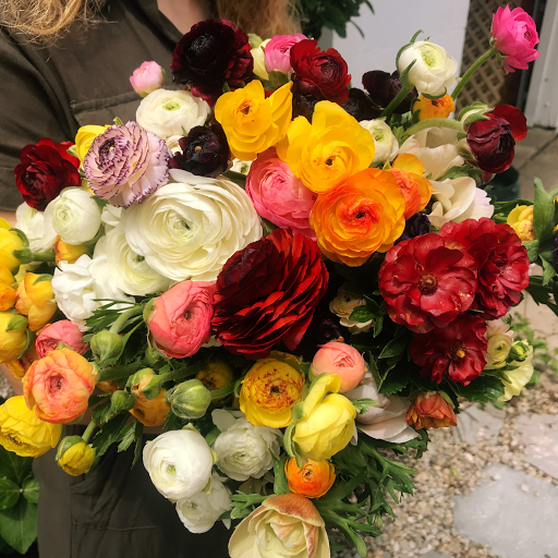 Miller Flowers Greenhouse & Garden Center - Thumbnail
