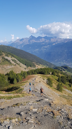 Bosco del Mont Fallere - Thumbnail
