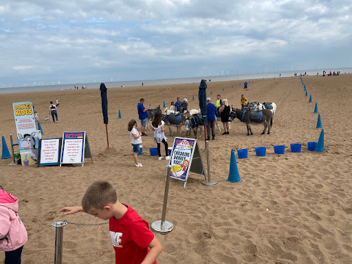 Eptons Donkey Rides