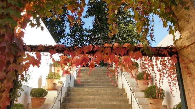 Generalife Gardens