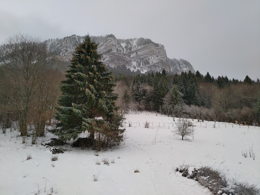 Thollon Immobilier - Thumbnail