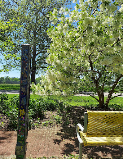 Women's Park Gallery - United States