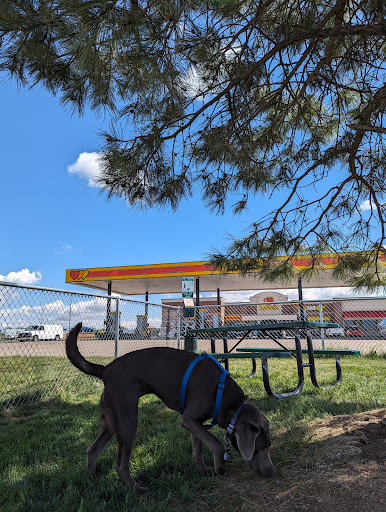 Dogs Park - Thumbnail