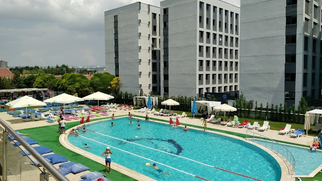 Anemon Eskişehir
