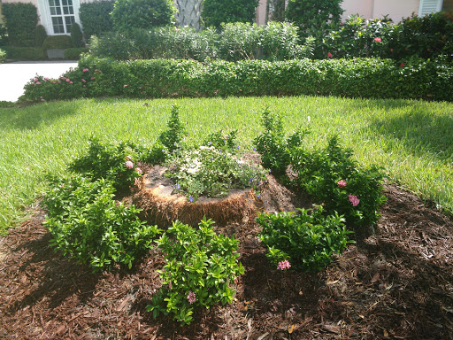 Park Shores of Vero Beach - Thumbnail
