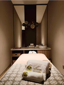Qi Forest Spa and Wellness, ibis Styles Sepang KLIA QM8V+89 Qi Forest Spa and Wellness, ibis Styles Sepang KLIA, ibis Styles Sepang KLIA, Jalan KLIA 1/60, 43900 Sepang, Selangor, Malaysia